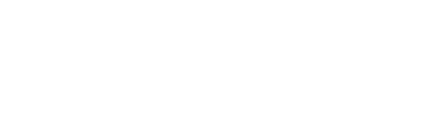 Logo spoločnosti Borgaa